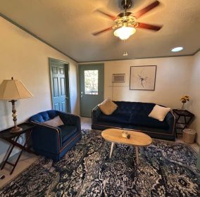 Blue Rose Suite Living Room 2
